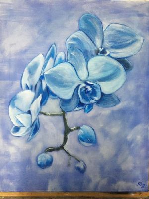 blå orchide 1